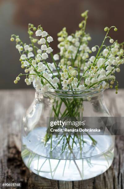 lily of the valley in vase - maiglöckchen stock-fotos und bilder