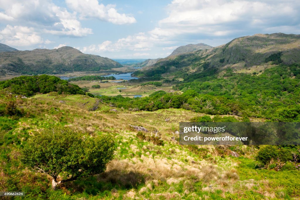 Ladies View auf dem Ring of Kerry, Irland