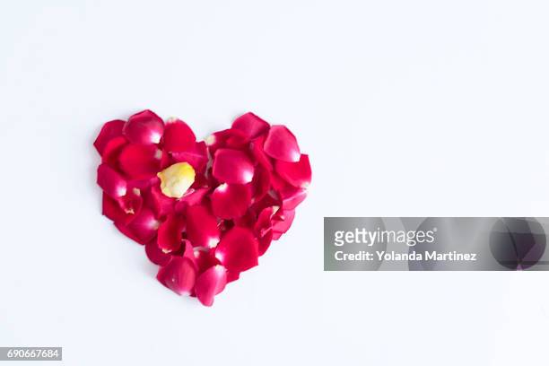 heart made with rose leaves - pétalo stock pictures, royalty-free photos & images
