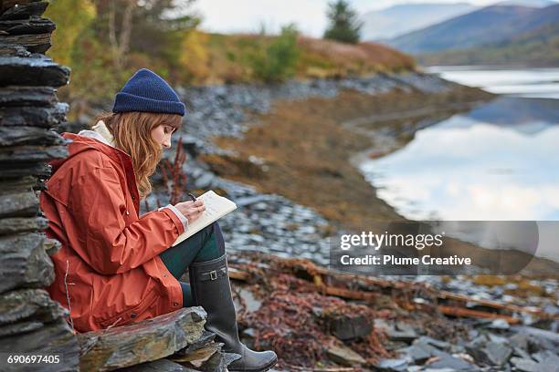 woman writing in a journal - författare bildbanksfoton och bilder