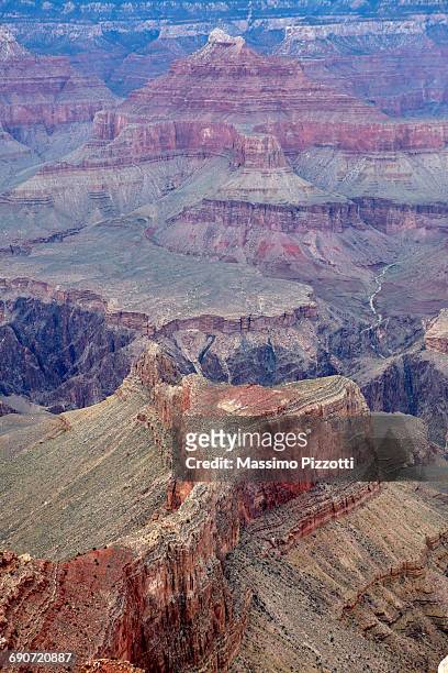grand canyon south rim - massimo pizzotti stock pictures, royalty-free photos & images