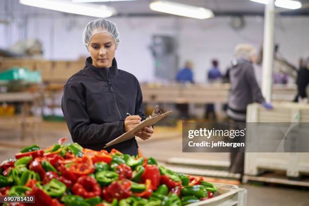 sie hat ein auge für qualitätskontrolle - food factory stock-fotos und bilder