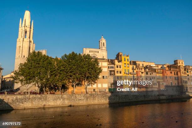 the houses on the river onyar in gerona , spain - rivière onyar photos et images de collection