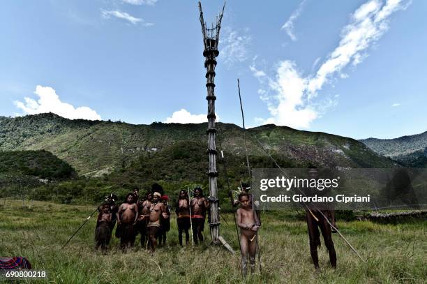 warriors of dani tribe - koteka stock pictures, royalty-free photos & images