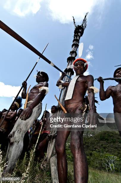 warriors of dani tribe - koteka stock pictures, royalty-free photos & images