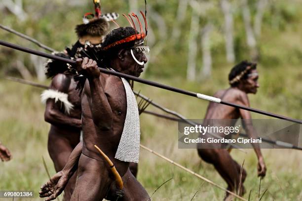 dani men charging with spear at baliem valley festival - koteka stock pictures, royalty-free photos & images