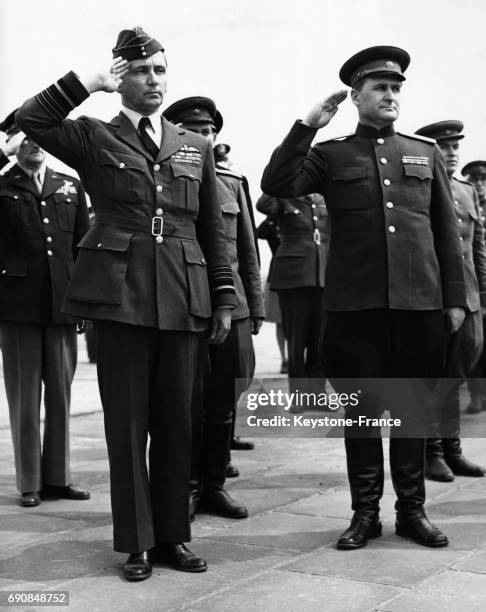 19 Sokolovski Stock Photos, HighRes Pictures, and Images Getty Images