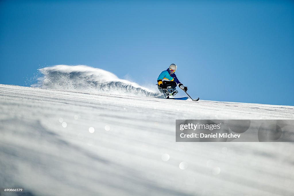 Guy with a wheelchair sled skiing fast.