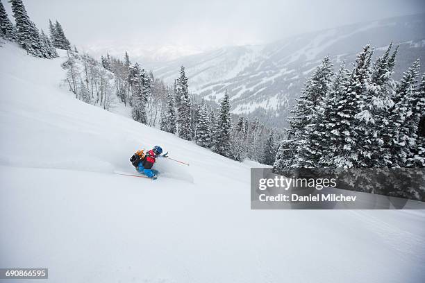 skier skiing in the side-country on a stormy day. - beaver creek colorado stockfoto's en -beelden