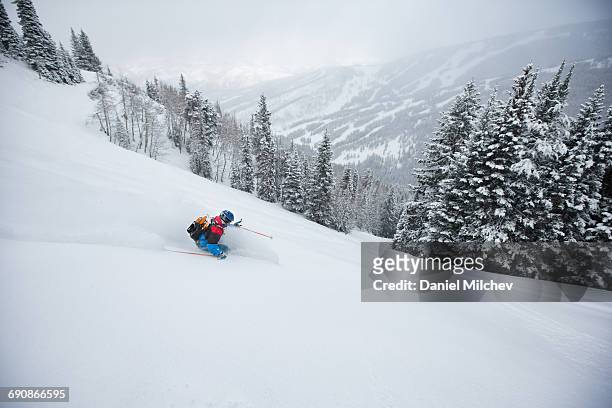 skier skiing in the side-country on a stormy day. - beaver creek - fotografias e filmes do acervo