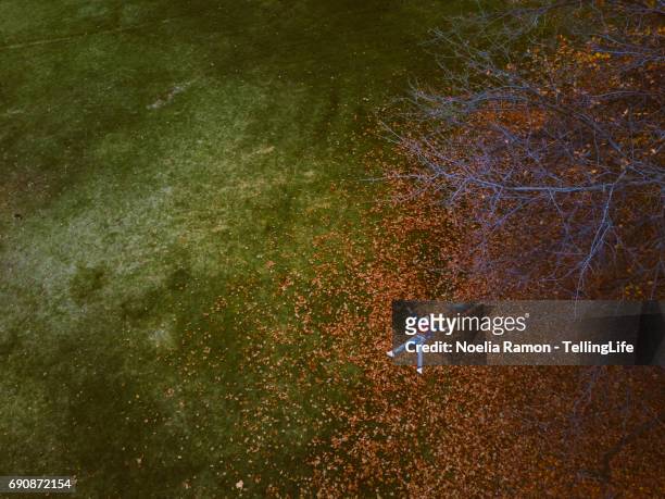aerial view of a young woman laying down over autumn leaves - green and red autumn leaves australia stock pictures, royalty-free photos & images
