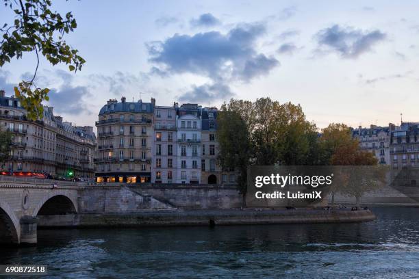 paris - árbol stockfoto's en -beelden