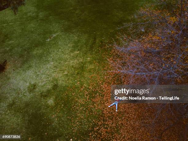 aerial view of a young woman laying down over autumn leaves - green and red autumn leaves australia stock pictures, royalty-free photos & images