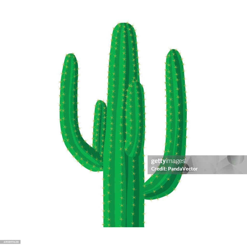 Icono De Cactus Mexicano En Estilo De Dibujos Animados Aislado Sobre Fondo  Blanco Ilustración De Vector Stock De Símbolo De País De México Ilustración  de stock - Getty Images