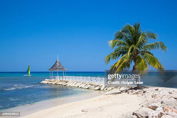 palm tree, beach and pavillion at half moon resort - jamaica stock-fotos und bilder