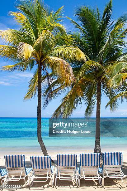 beach chairs and palm trees at half moon resort - montego bay stock pictures, royalty-free photos & images