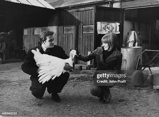 English singers Cilla Black and Billy J. Kramer choose a Christmas turkey at a turkey farm in Kent, December 1964.