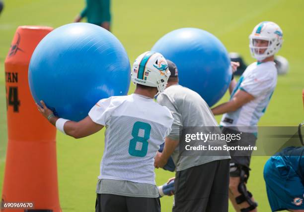 Miami Dolphins Quarterback Matt Moore and Miami Dolphins Quarterback Ryan Tannehill pick up large blue balls during a practice session at the Miami...