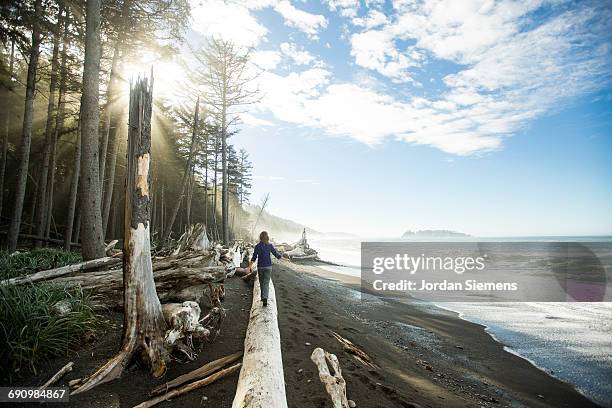 backpacking along a beach - dood begrippen stockfoto's en -beelden