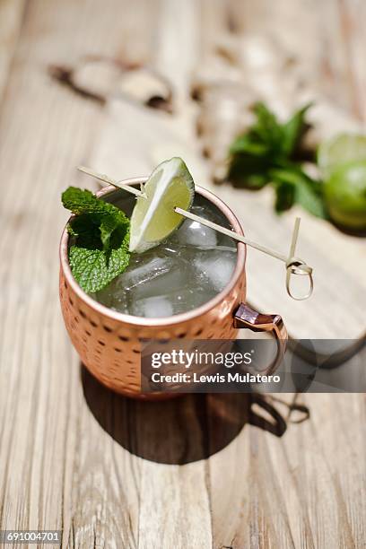 moscow mule cocktail - moscow mule foto e immagini stock