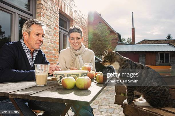 couple looking at tabby cat while sitting in back yard - cat drinking stock-fotos und bilder