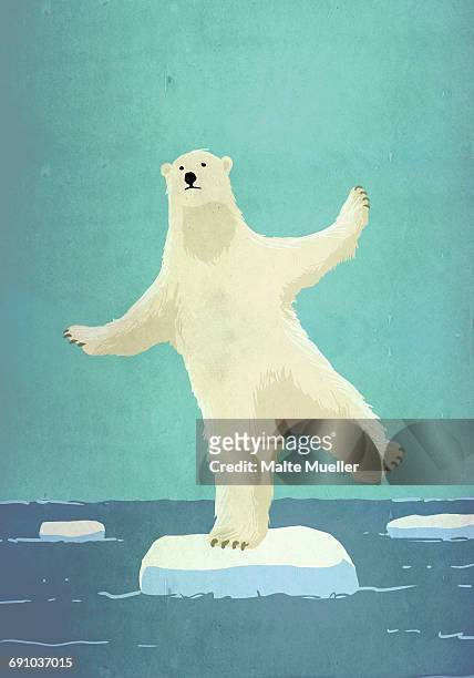 illustrative image of polar bear balancing on iceberg in sea representing global warming - standing on one leg stock illustrations