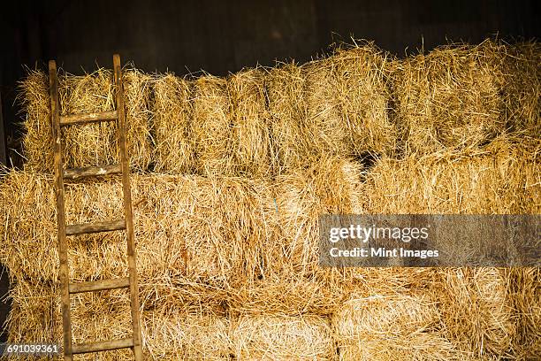 a stack of haybales with a ladder. - bale stock pictures, royalty-free photos & images