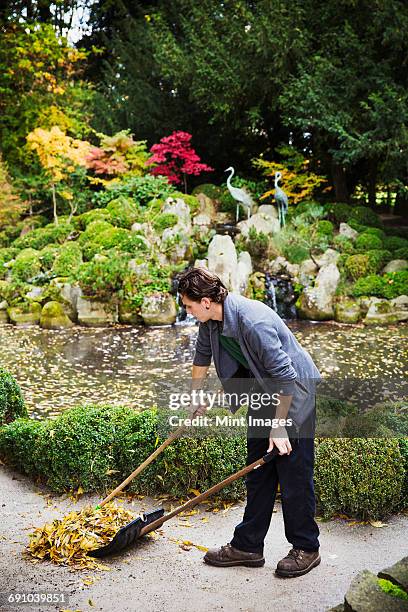 Pond Raking 108 Pond Rake Stock Photos, High-Res Pictures, and Images - Getty Images
