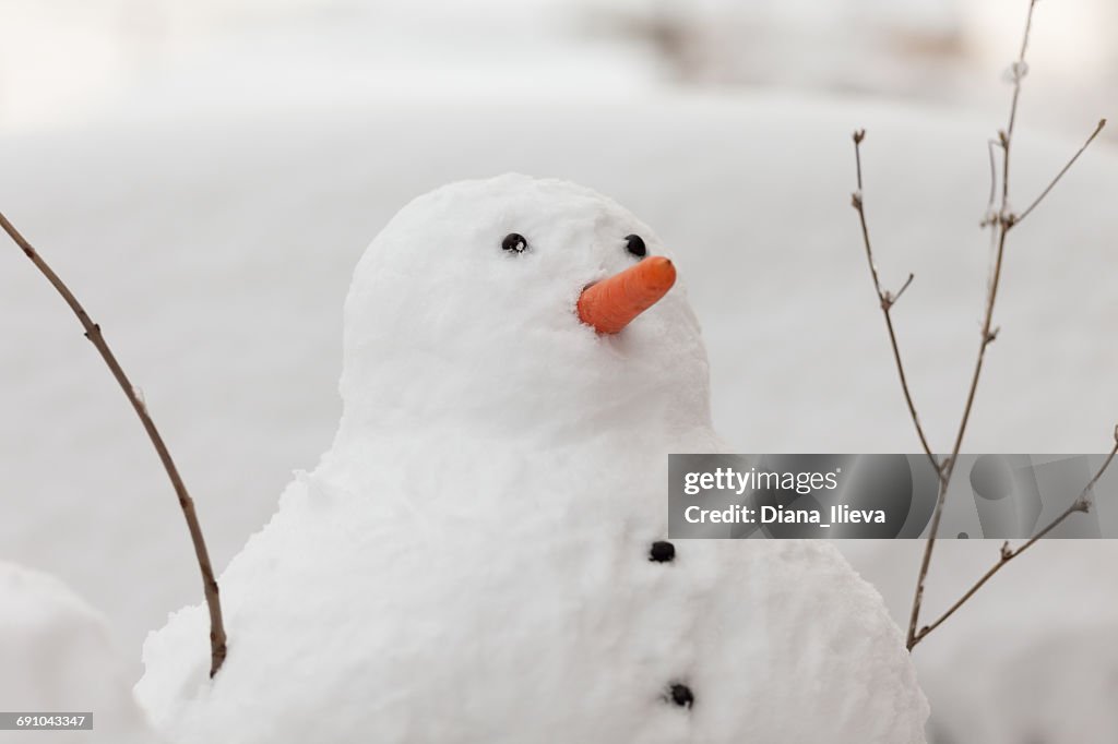 Portrait of a snowman in the garden with a carrot nose