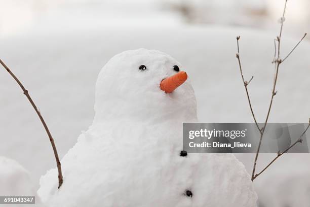 portrait of a snowman in the garden with a carrot nose - snow man stock pictures, royalty-free photos & images