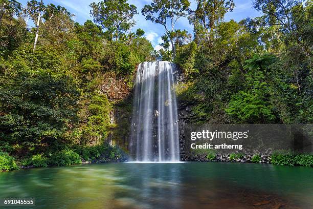 millaa millaa falls, atherton tableland, queensland, australia - chutes millaa millaa photos et images de collection