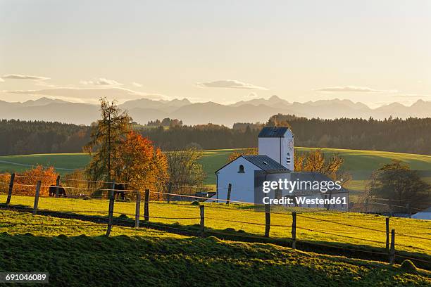 germany, hoehenrain, view to church - alpenvorland stock pictures, royalty-free photos & images