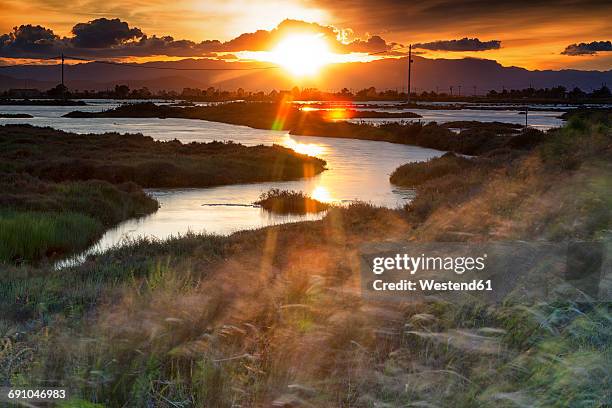 spain, tarragona, ebro delta, tancada lagoon at sunset - ebro delta stock pictures, royalty-free photos & images