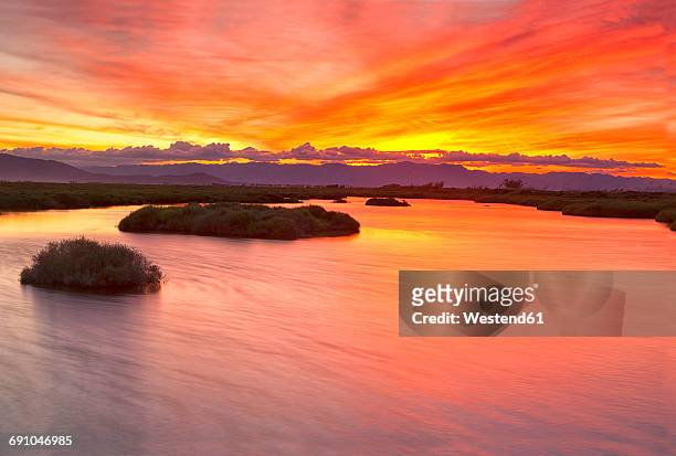 spain, tarragona, ebro delta, tancada lagoon at sunset - schmalz stock-fotos und bilder