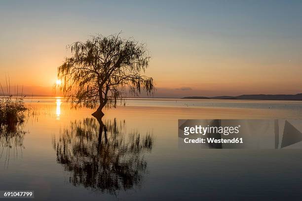 italy, umbria, lake trasimeno at sunset - lac trasimeno photos et images de collection