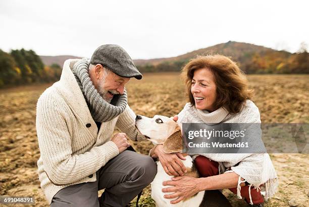 happy senior couple with dog in nature - happy lady walking dog stockfoto's en -beelden