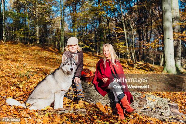 hansel and gretel, boy and girl sitting in forest on a tree trunk - hänsel and gretel stock pictures, royalty-free photos & images