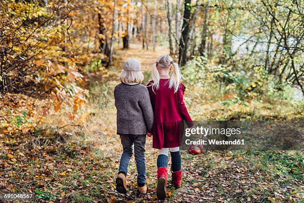 hansel and gretel, boy and girl walking alone in the forest - hänsel and gretel stock pictures, royalty-free photos & images