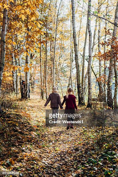 hansel and gretel, boy and girl walking alone in the forest, witch waiting behind tree - hänsel and gretel stock pictures, royalty-free photos & images