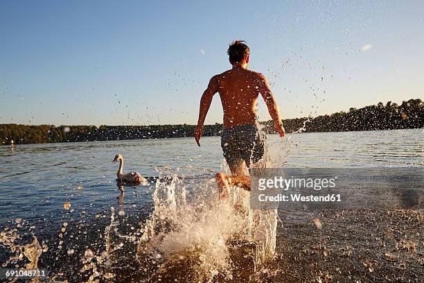 back view of man running in a lake - taking a bath stock pictures, royalty-free photos & images