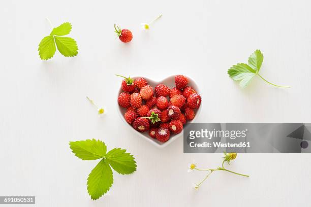 heart-shaped bowl of wild strawberries - strawberry blossom stock pictures, royalty-free photos & images