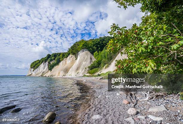 chalk cliffs at jasmund national park rã¼gen - kreidefelsen stock-fotos und bilder