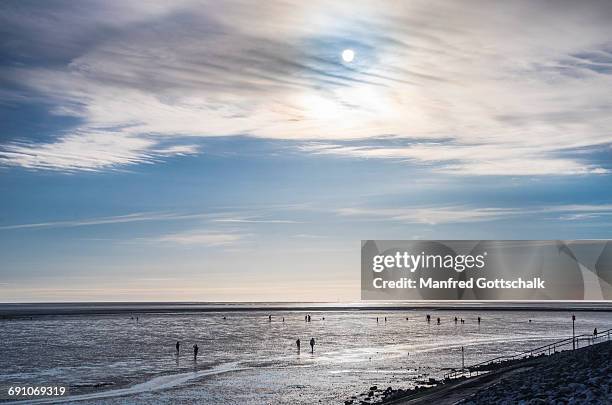 wadden sea beach of büsum - dithmarschen stock pictures, royalty-free photos & images