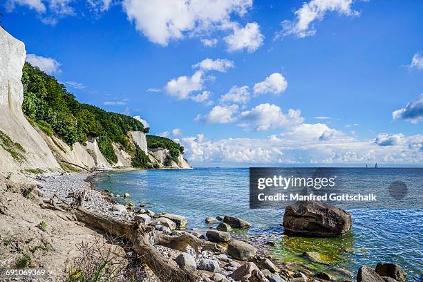 chalk cliff coast jasmund national park rã¼gen - kalkstein stock-fotos und bilder