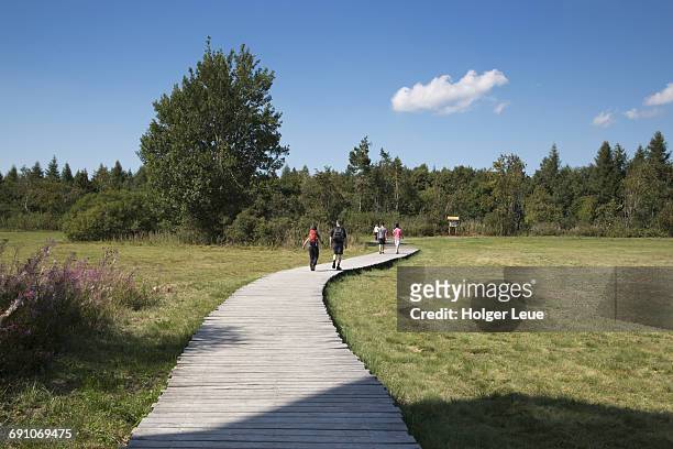 hikers on boardwalk through black moor - hesse germany stock pictures, royalty-free photos & images
