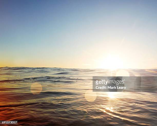 sunflare - seascape stockfoto's en -beelden