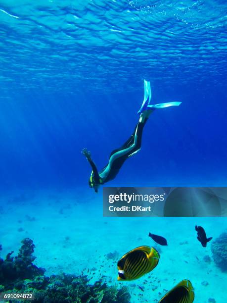 clavadista en profundo mar azul - submarinismo fotografías e imágenes de stock