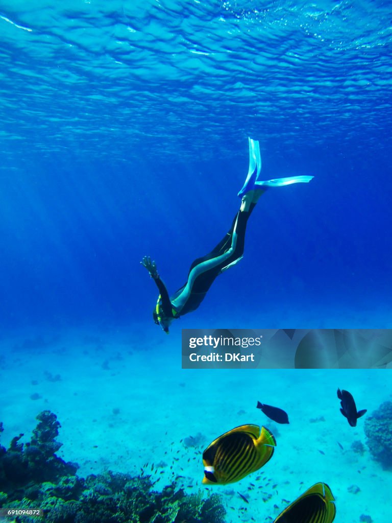 Diver in Deep Blue Sea