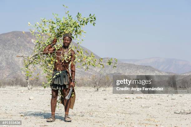 Himba man collecting branches with his machete.
