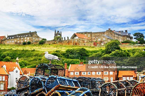 harbour scene in whitby with lobster traps - whitby stock-fotos und bilder